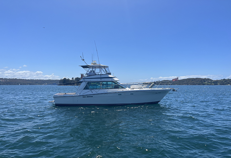 AMBER 44' Riviera Flybridge Boxing Day Charter